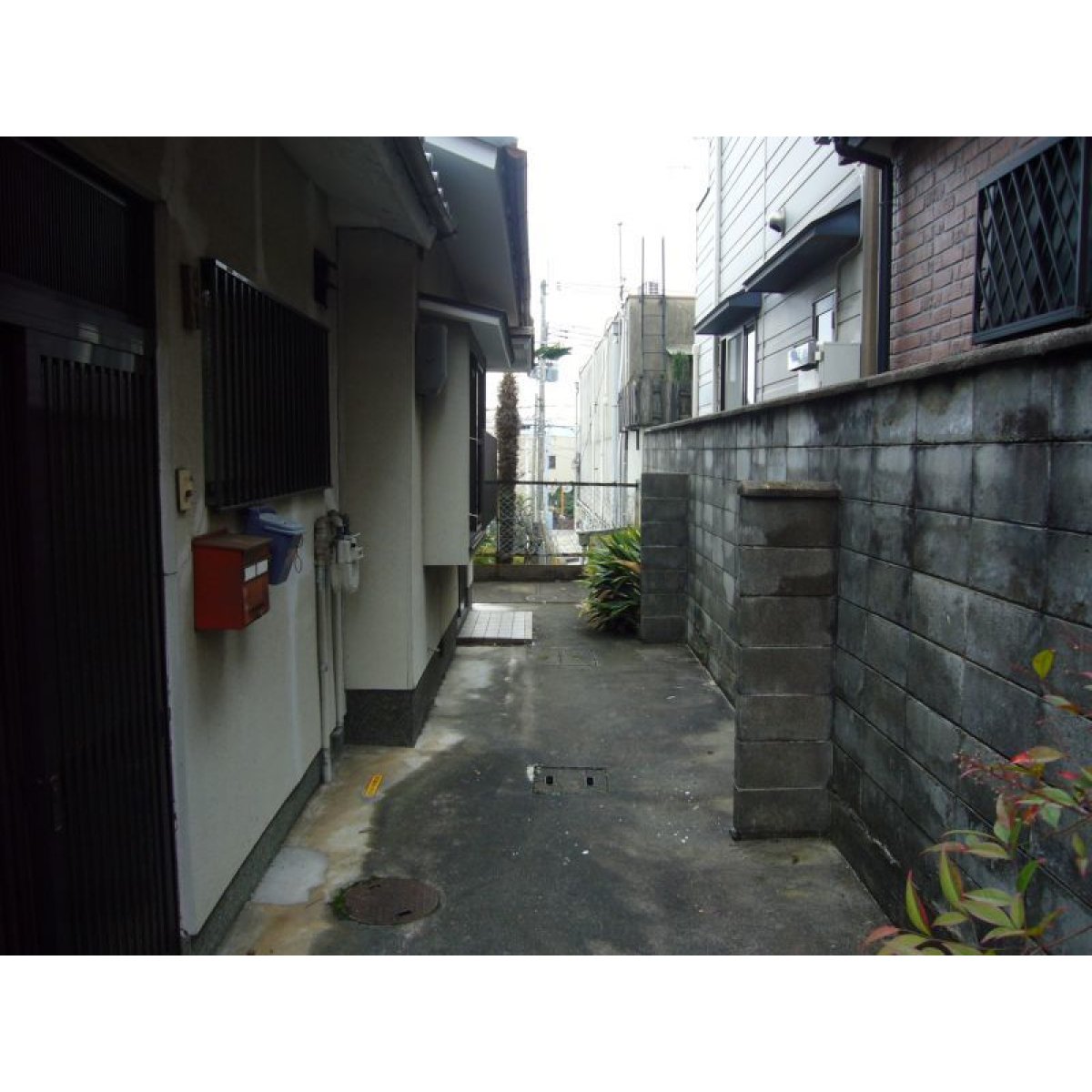 画像1: 【貸家】北区紫野西泉堂町